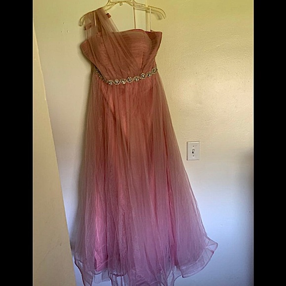 Plus size Dusty Pink Sheer Lace and Tulle Ball Gown - Picture 5 of 12